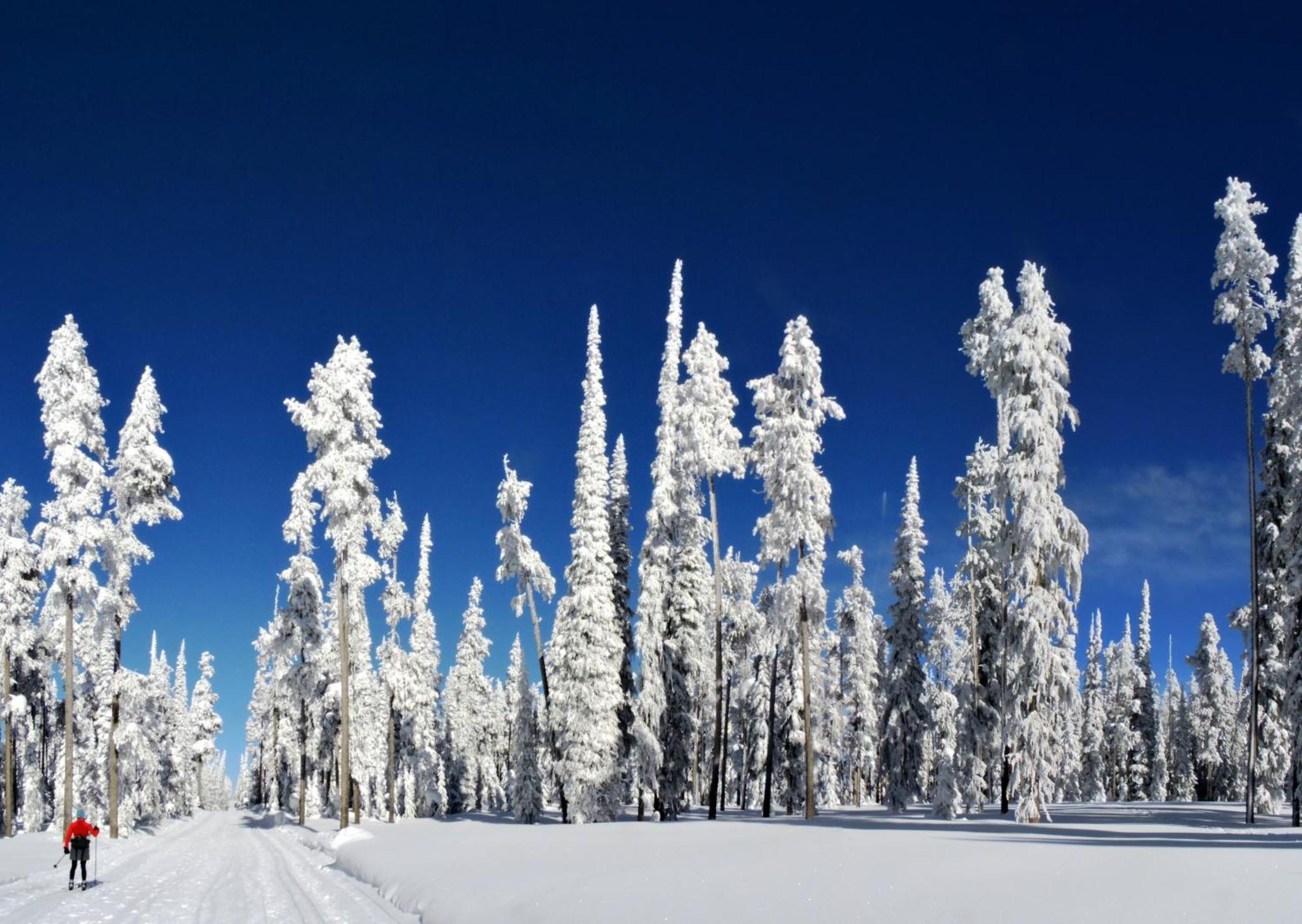 The Pine Lodge On Whitefish River, Ascend Hotel Collection Экстерьер фото